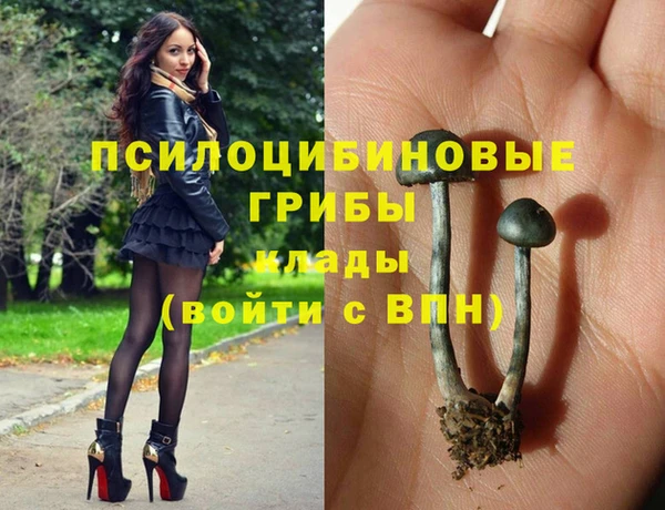 гидра Нея