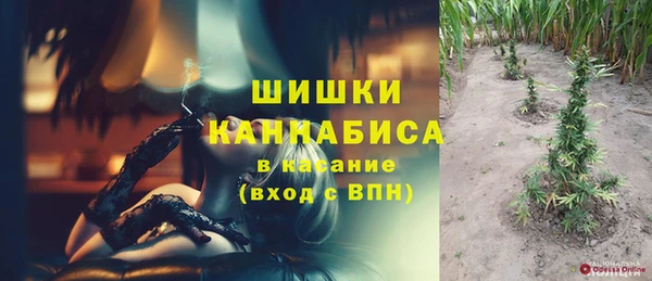 гидра Нея