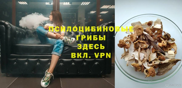 гидра Нея