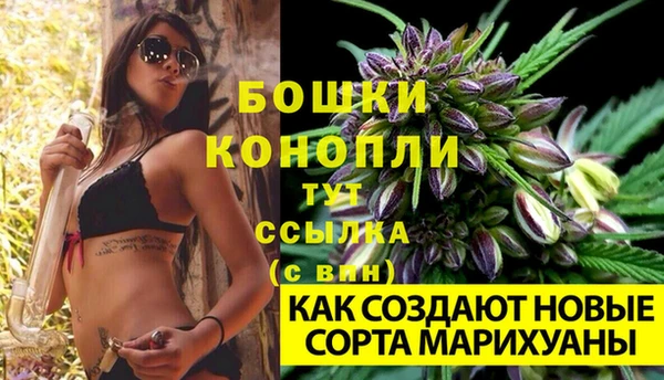 СК Нефтегорск