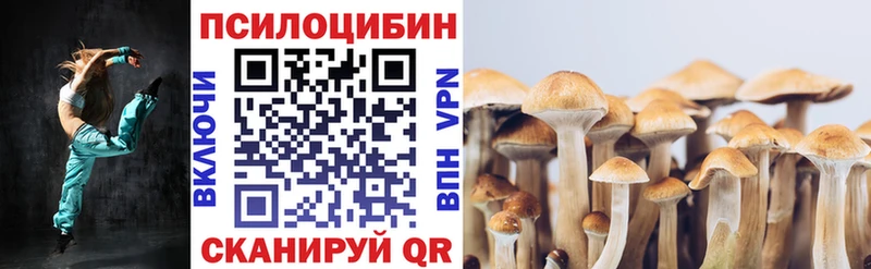 Галлюциногенные грибы мицелий  как найти закладки  нарко площадка официальный сайт  Куровское 